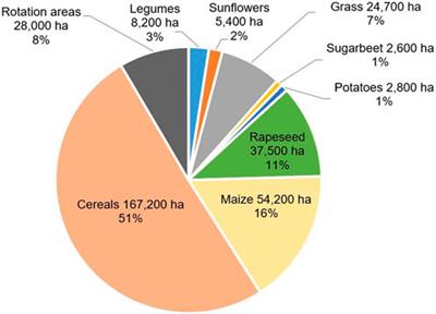 Biomass and bioenergy perspectives of a coal region: status quo, potential and scenarios in Lusatia